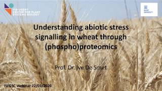 IWGSC Webinar Understanding abiotic stress signalling in wheat through phosphoproteomics [upl. by Ekez]