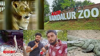 A wildlife Adventure in Chennai  VANDALUR ZOO  SVC VLOGS [upl. by Ibocaj526]