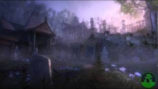 Fable II Soundtrack  Bowerstone Cemetery [upl. by Yllrebmik938]