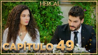 Hercai  Capítulo 49 [upl. by Assiran]