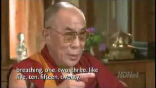 Dalai Lama  Why meditate [upl. by Thema829]