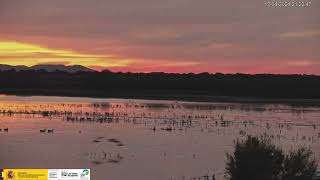 PRECIOSO ATARDECER 🌅  Parque Nacional de las Tablas de Daimiel Ciudad Real España [upl. by Eyma]