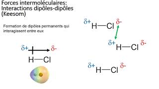 1 3 Polarité et forces intermoléculaires [upl. by Elmira891]