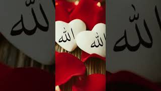 WHO LOVES ALLAH ❤️😍foryou viralshort trending needsubscriber loveallah [upl. by Sufur110]