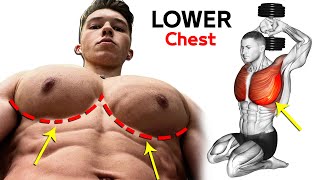 ✅️ Best Lower Chest Workout  Try it and you will see results [upl. by Horgan]