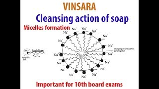 10TH ch4 topic cleansing action of soap Micelle formation [upl. by Jsandye]