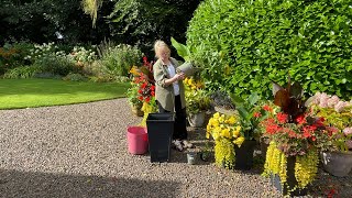 Planting Autumn containers  Refreshing house entrance for Autumn  Hot Border tour [upl. by Myer675]