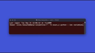 python  les variables [upl. by Willin]