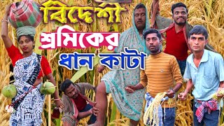 Foreign Labour l বিদেশি শ্রমিকের ধান কাটা l Dighar Comedy l Bideshi Shramiker Dhan Kata l tinmurti [upl. by Thrasher]