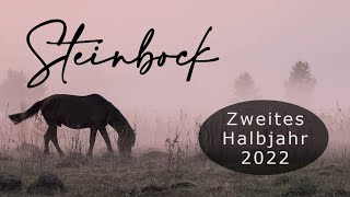 STEINBOCK ♑ ✖ Geteiltes Glück ✖  Zweites Halbjahr 2022 orakel tarot [upl. by Ateuqal]