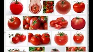 Spiras Favorite Mucusless Diet Healing System Foods Raw Veggies Part 4 [upl. by Etteval]