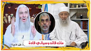 تعليق الشيخ محمد حسان على استشــهاد  يحي السنـ ـوار  وكلام للشيخ الحويني [upl. by Beitz]