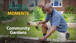 Community Gardens [upl. by Lalib]