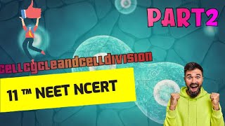 NEET FATAYE  CELL CYCLE AND CELL DIVISION PART 2 [upl. by Haman]