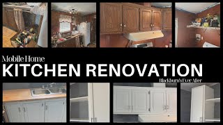 5Day Mobile Home Makeover Stunning Kitchen amp Laundry Room Revamp [upl. by Kellia]