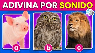 Adivina el Animal por el Sonido 🦁🔊🐷  Quiz de Animales  Adivina los Animales ✅ [upl. by Ididn]