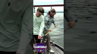 SPOTTED BASS BassProShops RangerBoats PickwickLake VisitTheShoals WeAreCollegiateBass [upl. by Einobe]