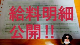 【残業月300時間超】過酷な長距離トラック運転手は稼いでいたのか⁉【給料明細】 [upl. by Gearhart]