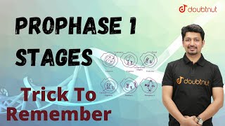 Trick To Remember Prophase 1 Stages  Biology  oneminuterevision  short youtubeshorts [upl. by Eniamerej337]