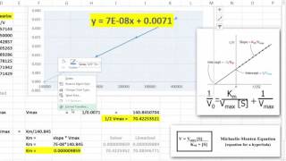 LineweaverBurke Plots in Excel [upl. by Nettle879]