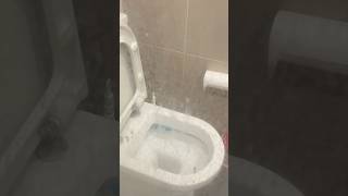 Total Transformation The Most Satisfying Bathroom Cleaning 🧼cleaning [upl. by Wight]