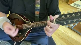 Flat Mandolin amp BARCUS BERRY Contact Pickup amp Roland CUBE20XL BASS  TEST [upl. by Farris]