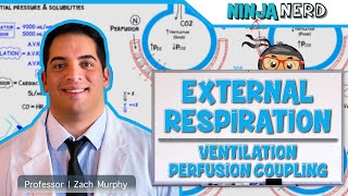 Respiratory  External Respiration Ventilation Perfusion Coupling [upl. by Hoban]