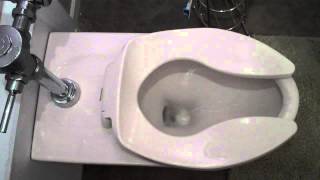 Commercial Flush Toilet in Residential final improvements in plumbing [upl. by Bethanne]