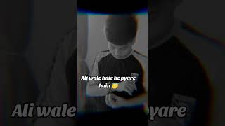 Ali wale hote he pyare hain nadeemsarwa imamhussain yaaliislamicfigure viralvideo imamqasimyt [upl. by Adli185]