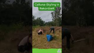 CallunaStyling in der Dellbrücker Heide [upl. by Erehs]