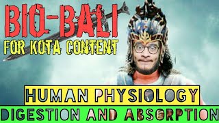 Digestion and Absorption Megamarathon  BioBali Series for NEET ft Vipin Sharma [upl. by Drusilla183]