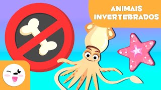 ANIMAIS INVERTEBRADOS  Artrópodes moluscos anelídeos celenterados equinodermes e esponjas [upl. by Lonnie]