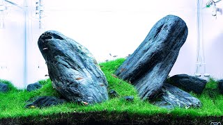 TOMMYS 60P IWAGUMI AQUASCAPE AT GREEN AQUA  4K CINEMATIC [upl. by Akirdnwahs732]