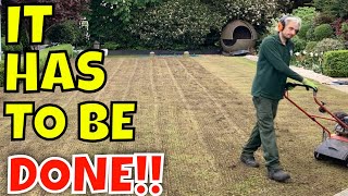 SHORT CUT to a BETTER Lawn  ULTIMATE Lawn Restoration PART 1 [upl. by Nagud]