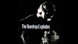 THE TEARDROP EXPLODES MIXED  BY DC 《 MIXED LIVE 》 [upl. by Iniretake288]