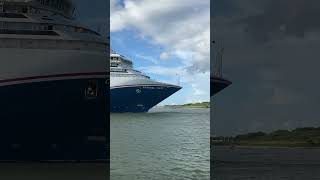 Dolphins Jumping infront of a Cruise Ship shorts carnivalvista dolphins cruiseship [upl. by Aerised]