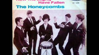 THE HONEYCOMBS UK COLOR SLIDE US Interphon 7716 1965 [upl. by Salakcin868]