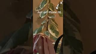 iPhone SE is better phone fypシ゚viral justgivemeareasonp idontwanttotalkaboutit [upl. by Frieder472]