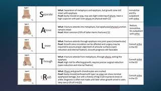 Understanding Growth Plate Injuries SalterHarris Fractures Explained for Sports Therapists 🏋️‍♂️💥 [upl. by Capp]