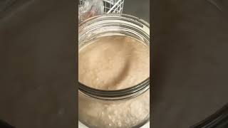 2nd part flavoring the kombucha [upl. by Chaker381]