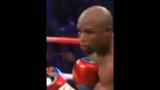 Mayweather vs Pacquiao fight boxing [upl. by Meil47]