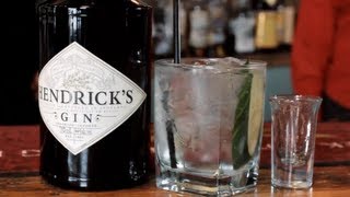 Hendricks Gin amp Tonic Drink Recipe  Tasty GampT Drink With Cucumber [upl. by Yentterb]