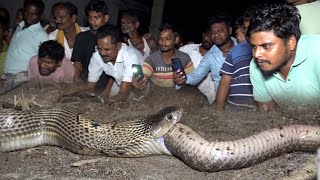 साँप ने साँप को खाकर घर में डेरा डाला और परिवार परेशान  Monocled Cobra Snake [upl. by Denoting767]