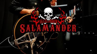 SalamanderELLEGARDEN【Guitar copy】【ギター弾いてみた】 [upl. by Otiv546]