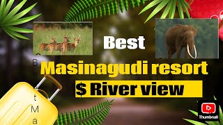 River Valley Resort Masinagudi Mudumalai forest [upl. by Lozano]