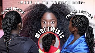 Behind The Scenes Of Natural Hair Growth Routine  Braided Ponytail Protective style amp Mini twists [upl. by Martens371]