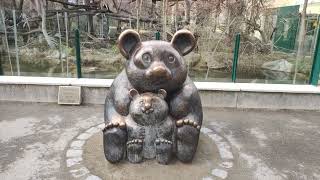 Großer Panda Bär Statue Tiergarten Zoo Schönbrunn I Der schönste Bär der Welt I Giant Bear Meuyùng [upl. by Hareema740]