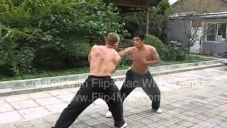 Master Xu YiZhen TaiChiChuan Sparring [upl. by Pavier]