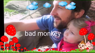 World top 5 most funny monkey videos 2016 wild amp intelligent monkey [upl. by Alliuqet955]