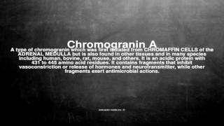 Medical vocabulary What does Chromogranin A mean [upl. by Mont419]